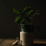 Paris pot - Bay tree